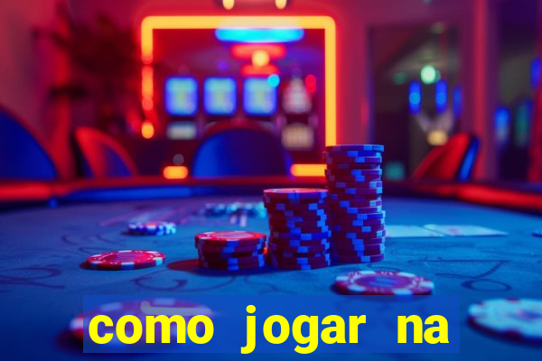 como jogar na seninha online